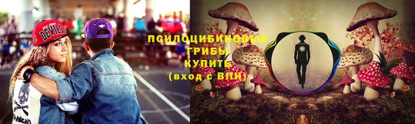 марки lsd Пестово