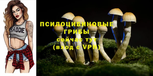 молекула духа Переславль-Залесский