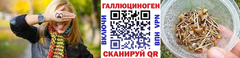 Галлюциногенные грибы MAGIC MUSHROOMS блэк спрут зеркало Нерчинск
